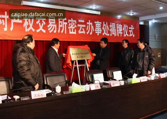 大发彩票官方平台安装教程 揭秘大发彩票官方平台安装教程背后的真相——新手必看的完整指南