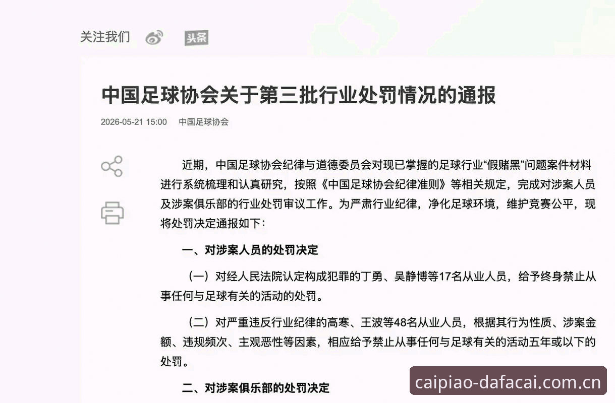 中国足协第三批禁足名单解读教程：从处罚明细到行业反思的完整操作指南